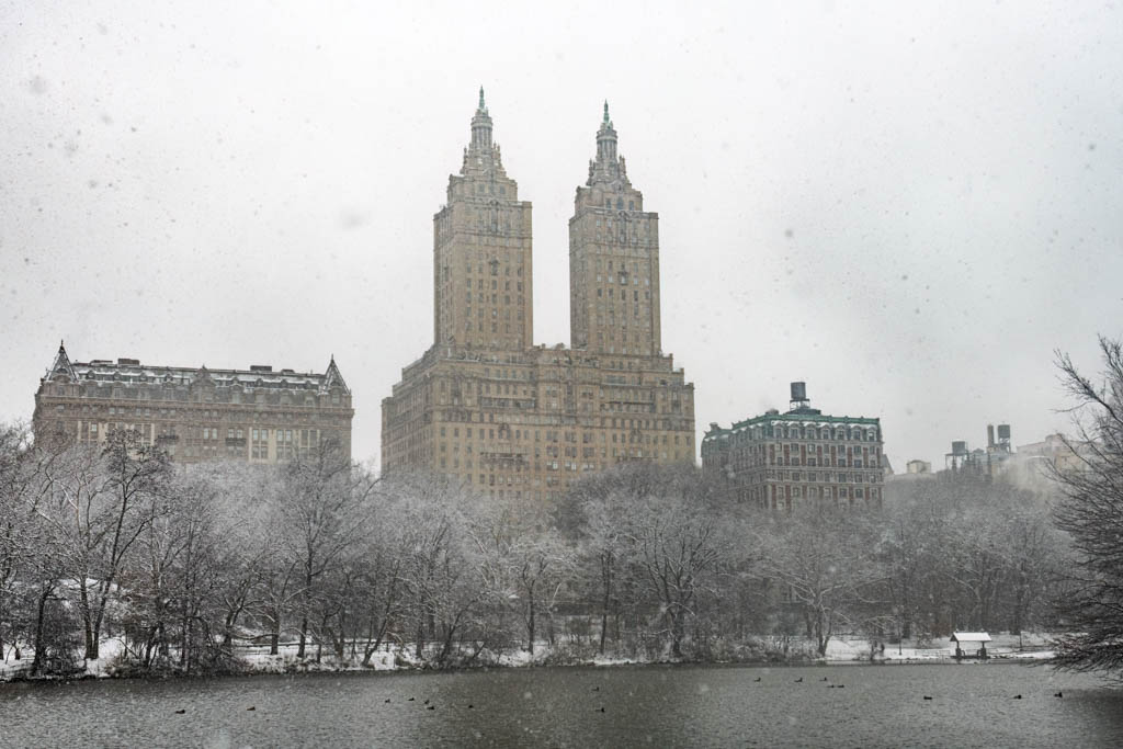 Central Park In NYC Is Wrapped In 3 Inches Snow For Nor’easter Lorraine After 700 Days! – Orange Wayfarer